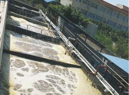 重庆强亮榨菜高盐分高氮高磷生产废水处理项目